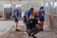 386640636_703233665165904_3293698680884648796_n