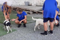 386657776_703233658499238_6706938849162987123_n