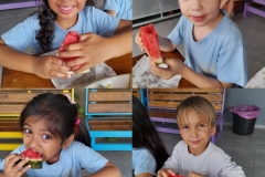 yummy-watermelon-picnic-1