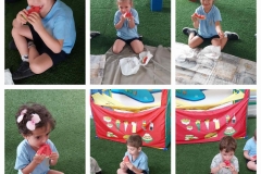yummy-watermelon-picnic-2