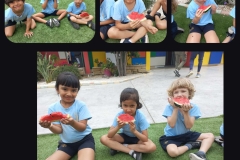 yummy-watermelon-picnic-4