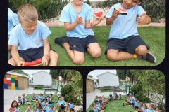 yummy-watermelon-picnic-6