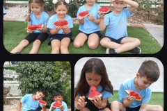 yummy-watermelon-picnic-7