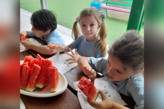 yummy-watermelon-picnic-9