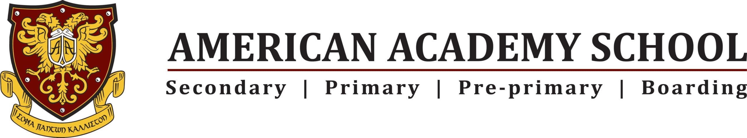 American Academy Logo | American Academy