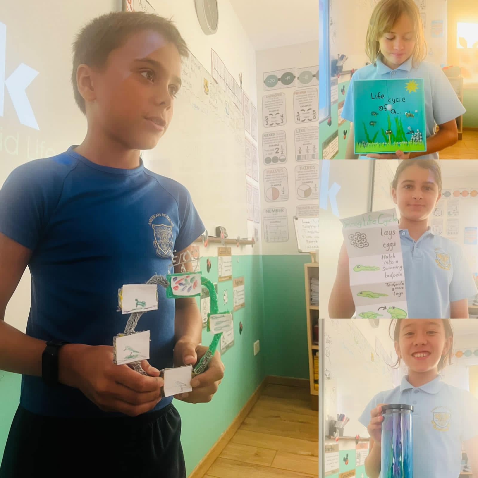 During their science lesson, year 5 created projects to show the life cycles of insects and animals.