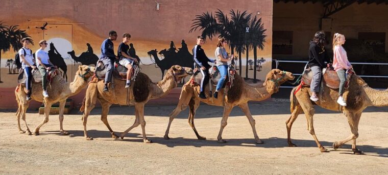 Camel Park