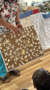 494429595_1299750418820824_4231000081799926904_n