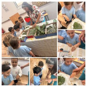 494630336_1299749552154244_4538530757808987619_n