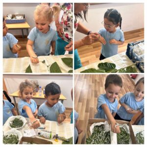 502578806_1299749595487573_670367469991474246_n