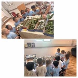 503588700_1299749668820899_5657834523604256792_n