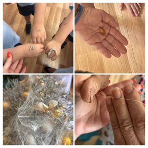 503810909_1299749885487544_8971502247935273801_n