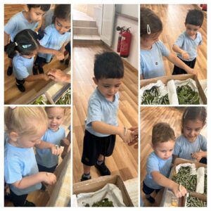 504113958_1299749772154222_6160594784920751153_n