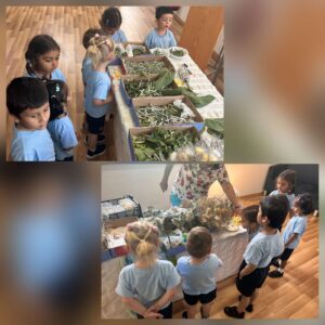 504258353_1299749975487535_5488339797043216485_n